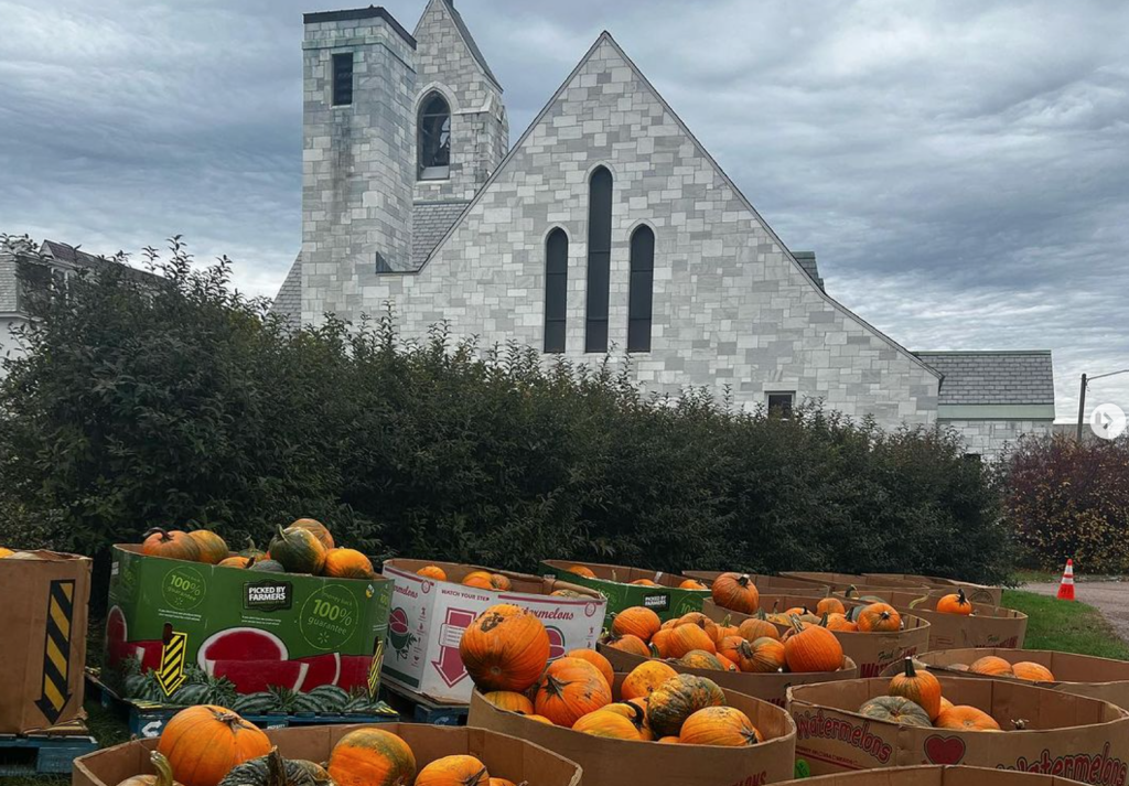 Community News Service » July flooding squashes VT pumpkin crops
